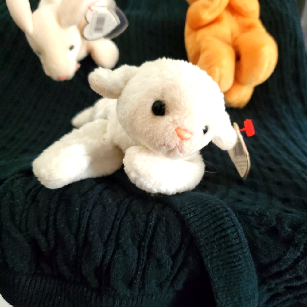 5 ty beanie babies